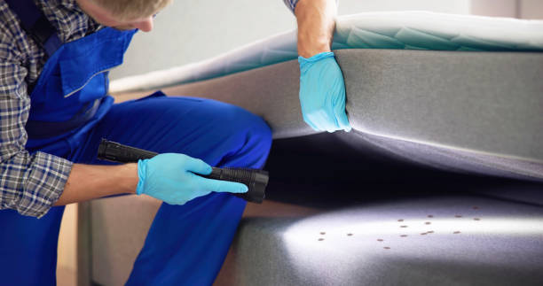Best Local Pest Control Services  in Hooper, NE