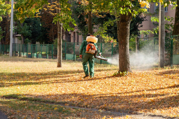 Best Pest Control Treatment  in Hooper, NE