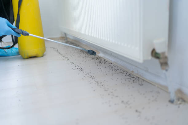 Pest Control Cost in Hooper, NE